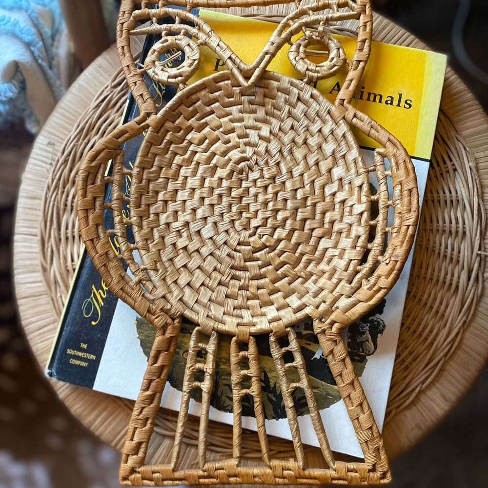 ❌NOT FOR SALE ❌Boho wicker owl wall basket